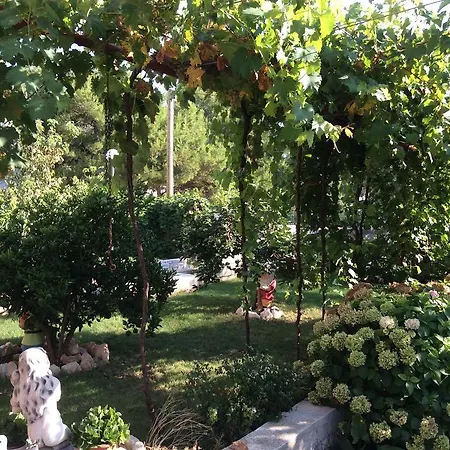 Tiho I Sladana Lejlighed