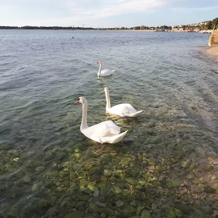 Tiho I Sladana Lejlighed Brodarica (Sibenik-Knin)