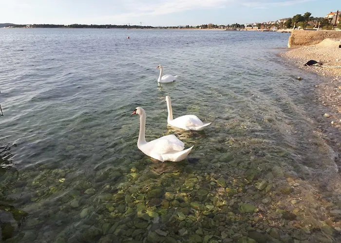 Tiho I Sladana Apartment Brodarica (Sibenik-Knin)